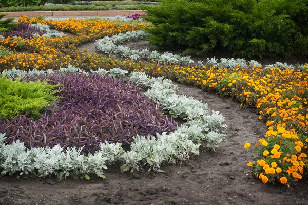 Svěží zahradou s záhon a barevnými rostlinami — Stock fotografie