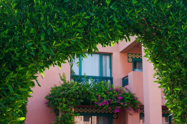 Green decorative Arch of plants — Stock Photo, Image