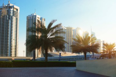 güzel apartmanlar ve palmiye ağaçları şehir