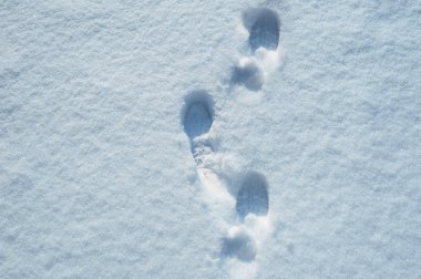 steps in the snow clipart