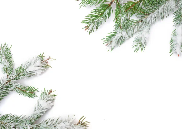 Ramos de abeto nevado. Moldura de Natal e lugar para texto — Fotografia de Stock