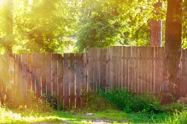 Деревянный забор в летнем парке и солнечные лучи — стоковое фото