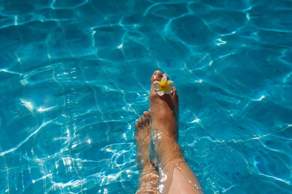 Kadının bacakları ile çiçek mavi havuzu — Stok fotoğraf