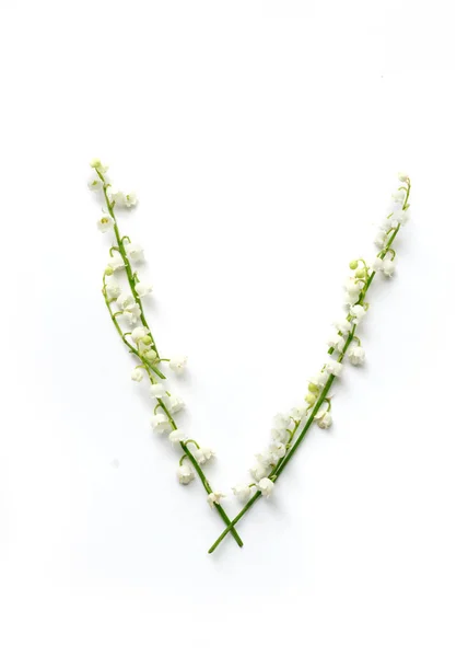 English letter V in the alphabet of flowers bells. Calligraphy lettering — Stock Photo, Image