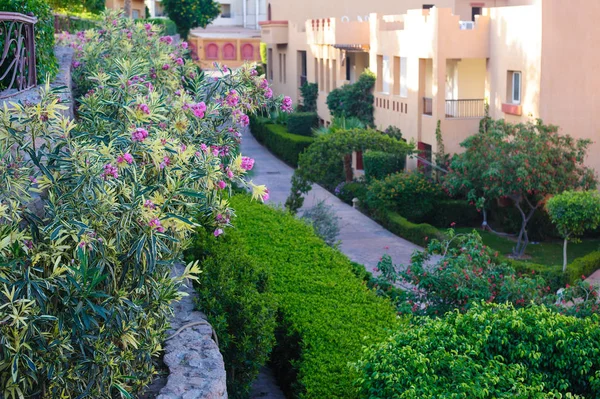 Edificios con arbustos verdes y macizos de flores — Foto de Stock