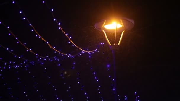 Ночной зимний парк с фонарями и гирляндами — стоковое видео
