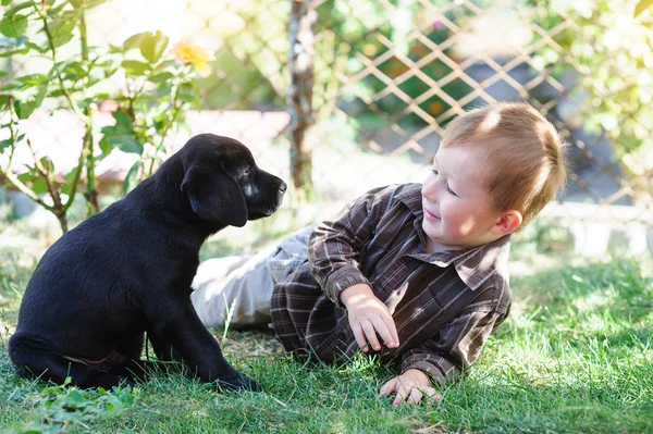 Siyah labrador yavru köpek ile küçük çocuk yaz çim üzerinde yalan