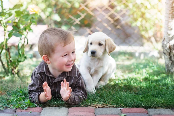 Μικρό αγόρι με ένα λευκό Λαμπραντόρ κουτάβι — Φωτογραφία Αρχείου