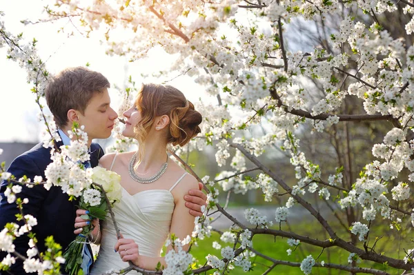 Bruden och brudgummen på bröllop kyss våren promenad Park — Stockfoto