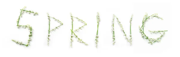 Palabra Primavera con flores de lirio sobre fondo blanco — Foto de Stock