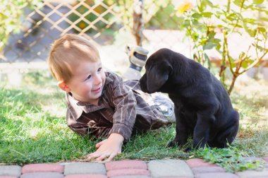 küçük çocuk bir köpek yavrusu labrador parkta oynarken