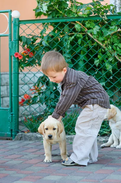 Kleine jongen spelen met een labrador pup in het park — Stockfoto