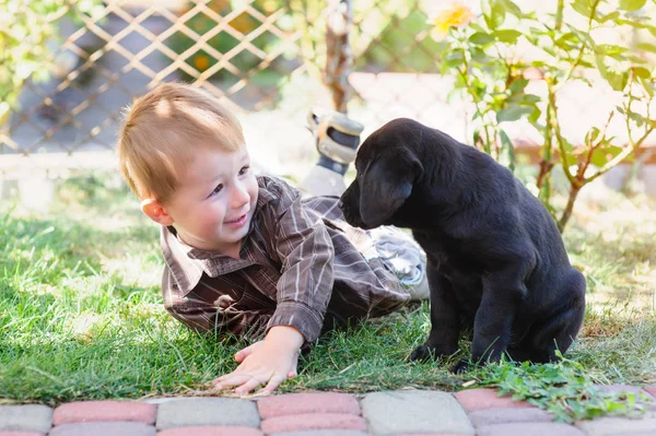 Mały chłopiec bawi szczeniak labrador w parku — Zdjęcie stockowe