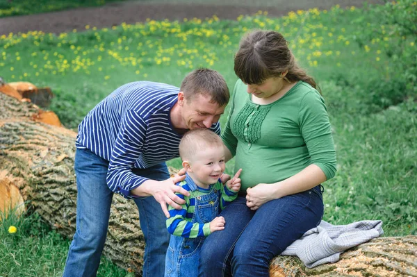 Wife with her husband and son on picnic — Stock Photo, Image