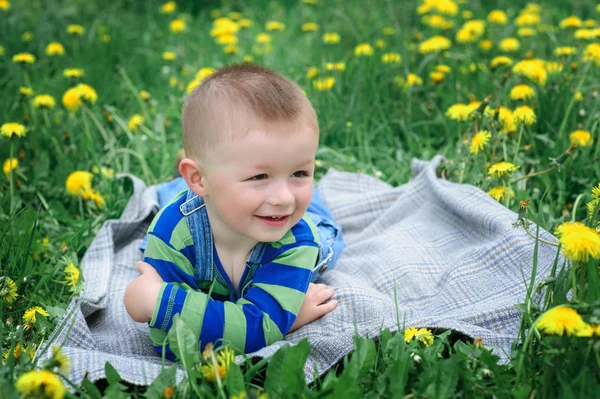Pequeño niño acostado en el prado de flores — Foto de Stock