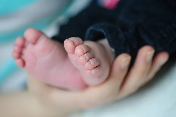 Руки матери держат детские ноги — стоковое фото