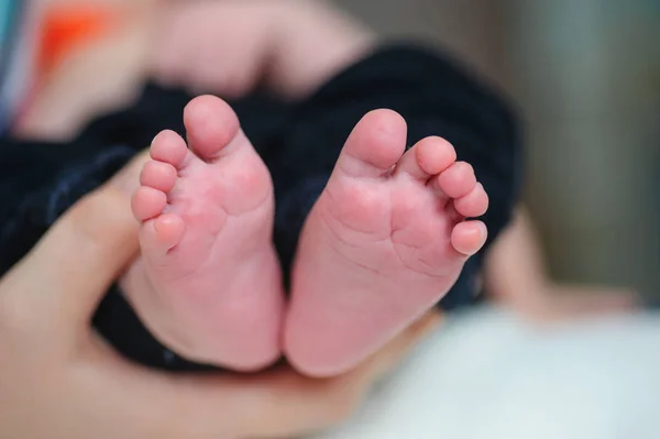 Mother hands holding baby feet — Stock Photo, Image