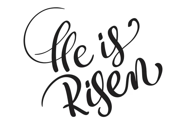 He is risen text isolated on white background. calligraphy and lettering — Stock Vector