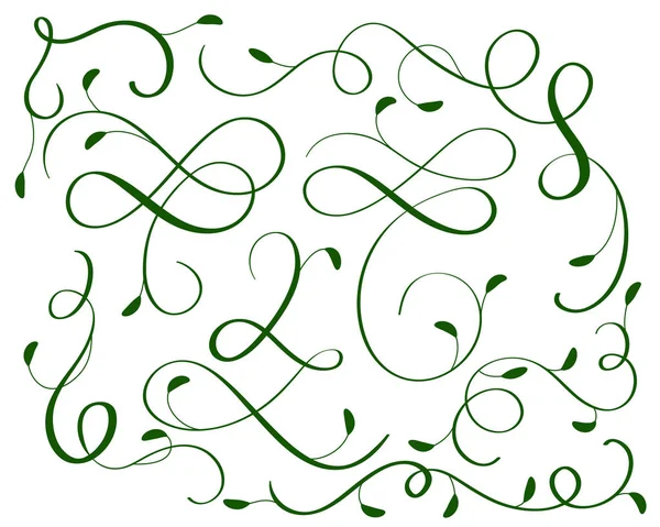Conjunto verde de vintage florescer arte decorativa caligrafia whorls para o design. Ilustração vetorial EPS10 — Vetor de Stock