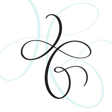 vektör metin veya tasarım öğesi vintage güzelleşmek. Hat illüstrasyon Eps 10