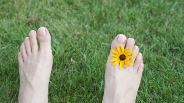 Fötter av kvinna på gräs med gul blomma på äng — Stockvideo