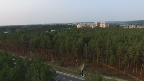 Ciudad en un bosque de pinos. Fotografía aérea — Vídeos de Stock