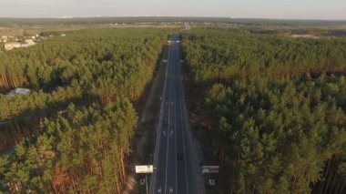 çam ormanı bir araba ile yol asfalt. Hava video