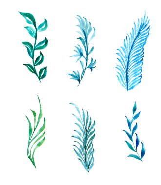 Çizim bir bitki yaprağı beyaz zemin üzerine suluboya ile boyalı