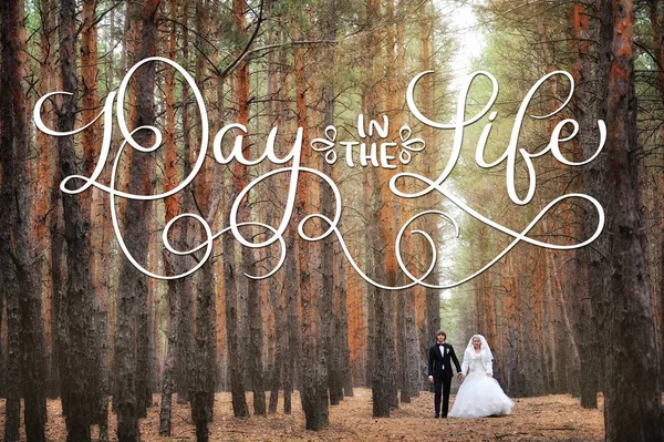 Bruid en bruidegom in een dennenbos in herfst en tekst dag in het leven. Kalligrafie belettering vintage hand tekenen — Stockfoto