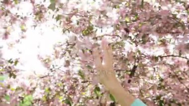 Kadın eline bir çiçekli ağaç bahar bahçe içinde tutar.