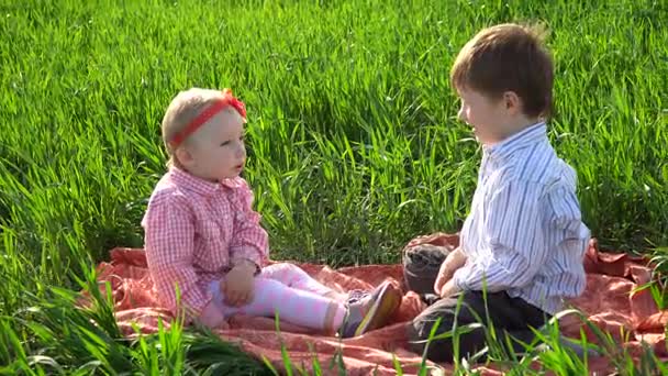 Lilla bror och syster sitter på en filt i fältet — Stockvideo