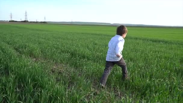 Маленький хлопчик біжить навколо зеленого весняного поля — стокове відео