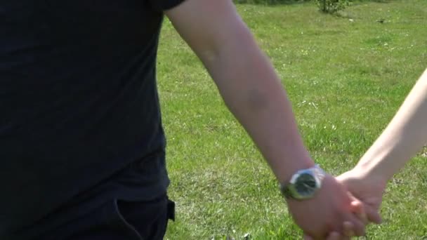 Paar in liefde lopen op een groen veld en hand in hand — Stockvideo