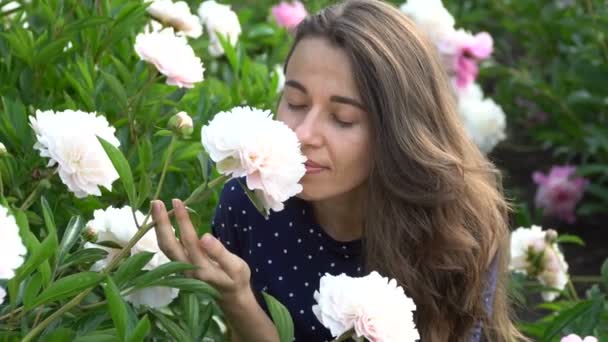 美しい女性の夏の庭に白い牡丹の花の臭いがします。 — ストック動画