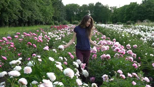 Mulher bonita está andando no campo de verão de peônias — Vídeo de Stock