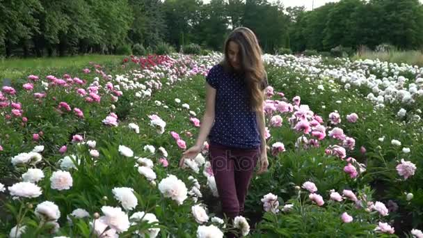 Belle jeune femme marche dans le champ estival de pivoines — Video