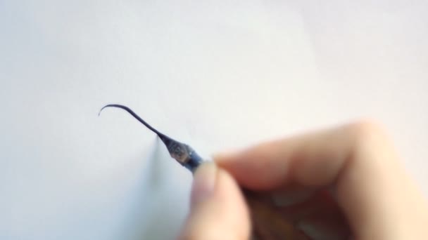 枚の紙の上にペンで美しいカリグラフィ カール — ストック動画