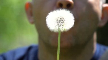 Genç adam karahindiba yaz sahada üfleme
