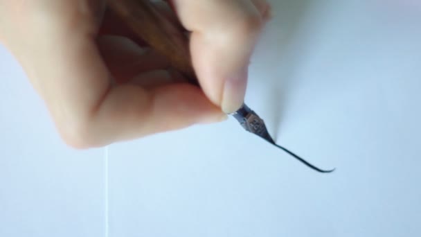 Femme main dessine calligraphie lignes vintage 