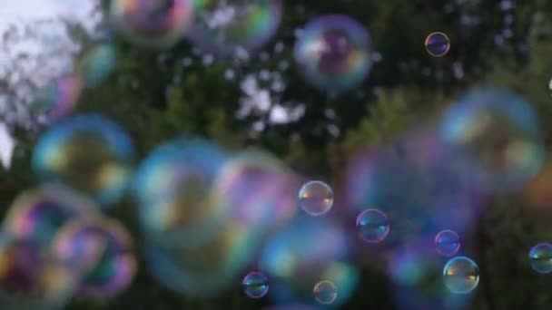 Мыльные пузыри на фоне зеленой травы в летнем парке — стоковое видео