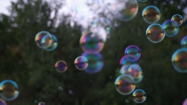 Bolhas de sabão em um fundo de grama verde em um parque de verão — Vídeo de Stock