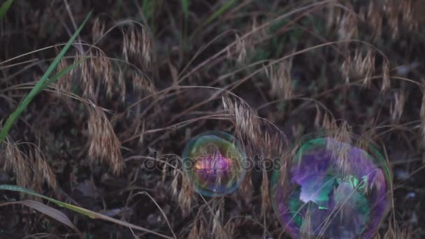 Bolhas de sabão em um fundo de grama verde em um parque de verão — Vídeo de Stock