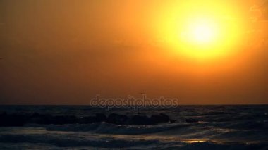 Güzel deniz günbatımı ve gökyüzünde uçan martılar