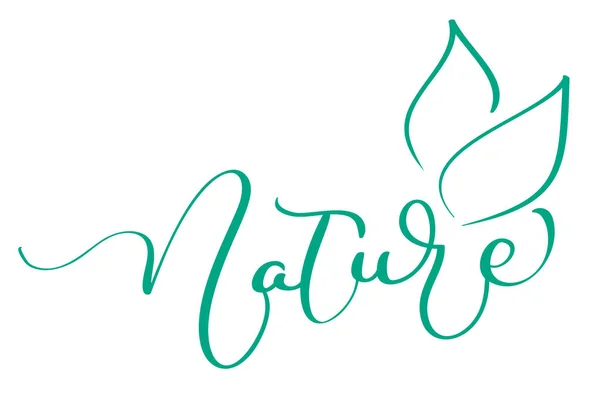 Natura parola con foglie inchiostro di colore verde su sfondo bianco. Lettere calligrafiche disegnate a mano Illustrazione vettoriale EPS10 — Vettoriale Stock