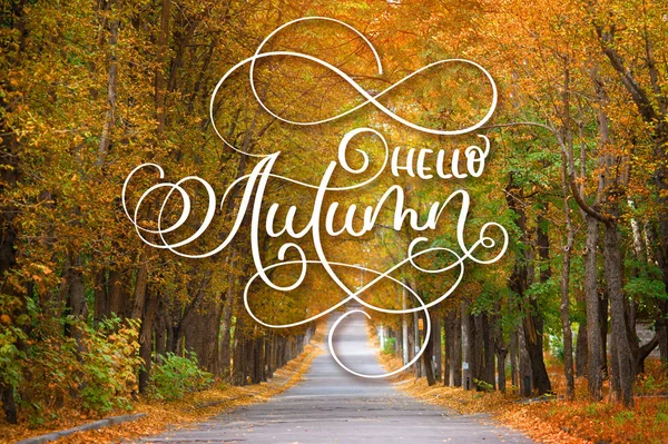 Olá Outono caligrafia lettering texto na estrada que atravessa a árvore de verão beco — Fotografia de Stock