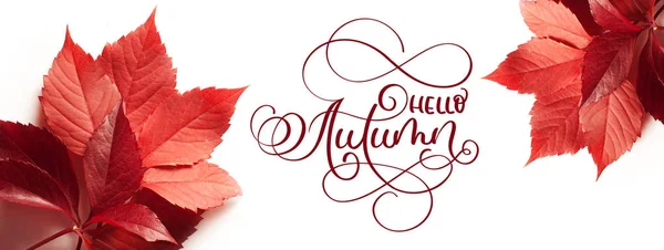 Calligraphie lettrage texte bonjour Automne. feuilles rouges sur fond blanc — Photo