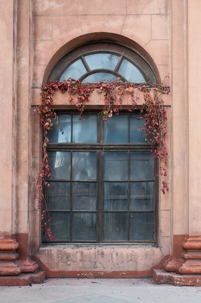 列を持つ古い建築の窓 — ストック写真