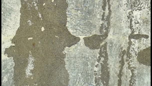 Cracked wall, cracked concrete, building demolition. A crack in the concrete wall increases — Stock Video