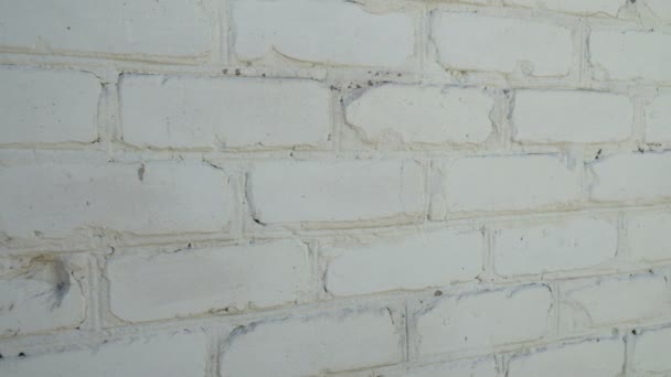 Old white brick wall texture background — Stock Video