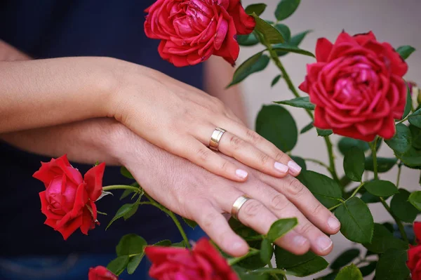 Mãos em conjunto com alianças de casamento em rosas vermelhas — Fotografia de Stock